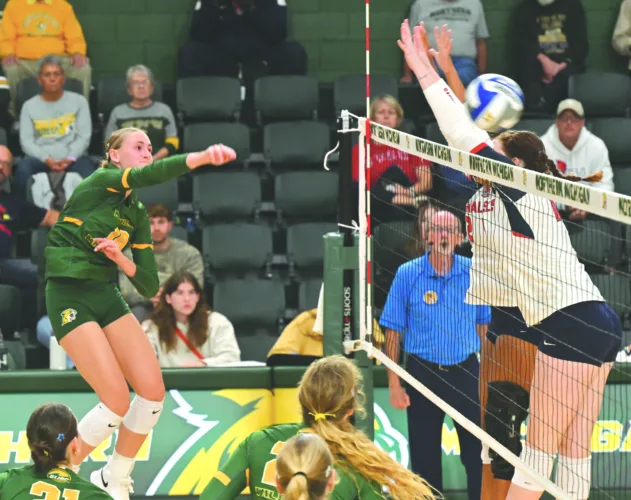 Wildcats volleyball splits matches over homecoming